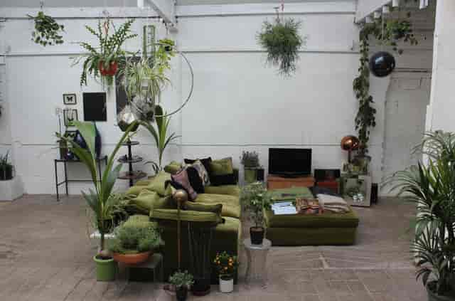 Industrial-chic meeting space at The Stable Clapton, featuring lush plants for team workshops.