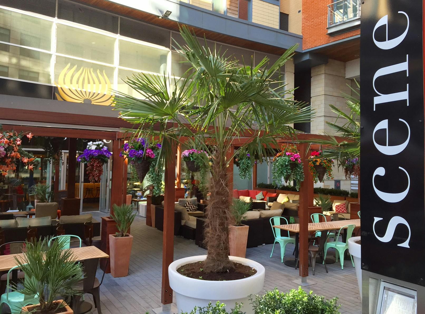 Garden Veranda at Scene Indian Street Kitchen, vibrant outdoor event space for gatherings.