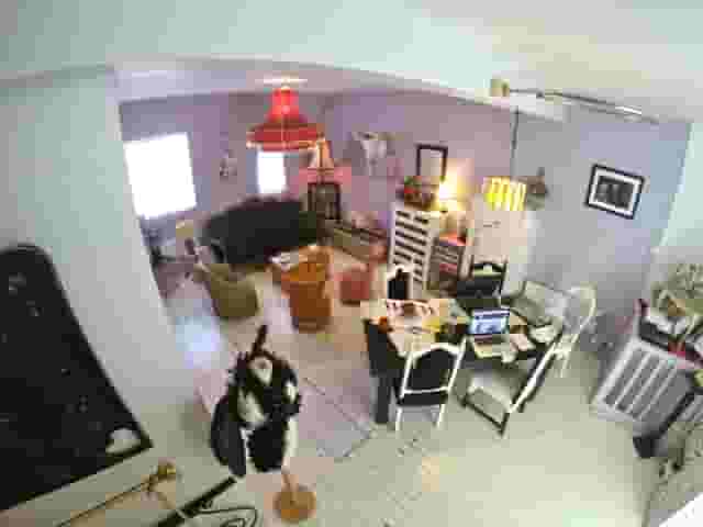 Dalston Popup Loft