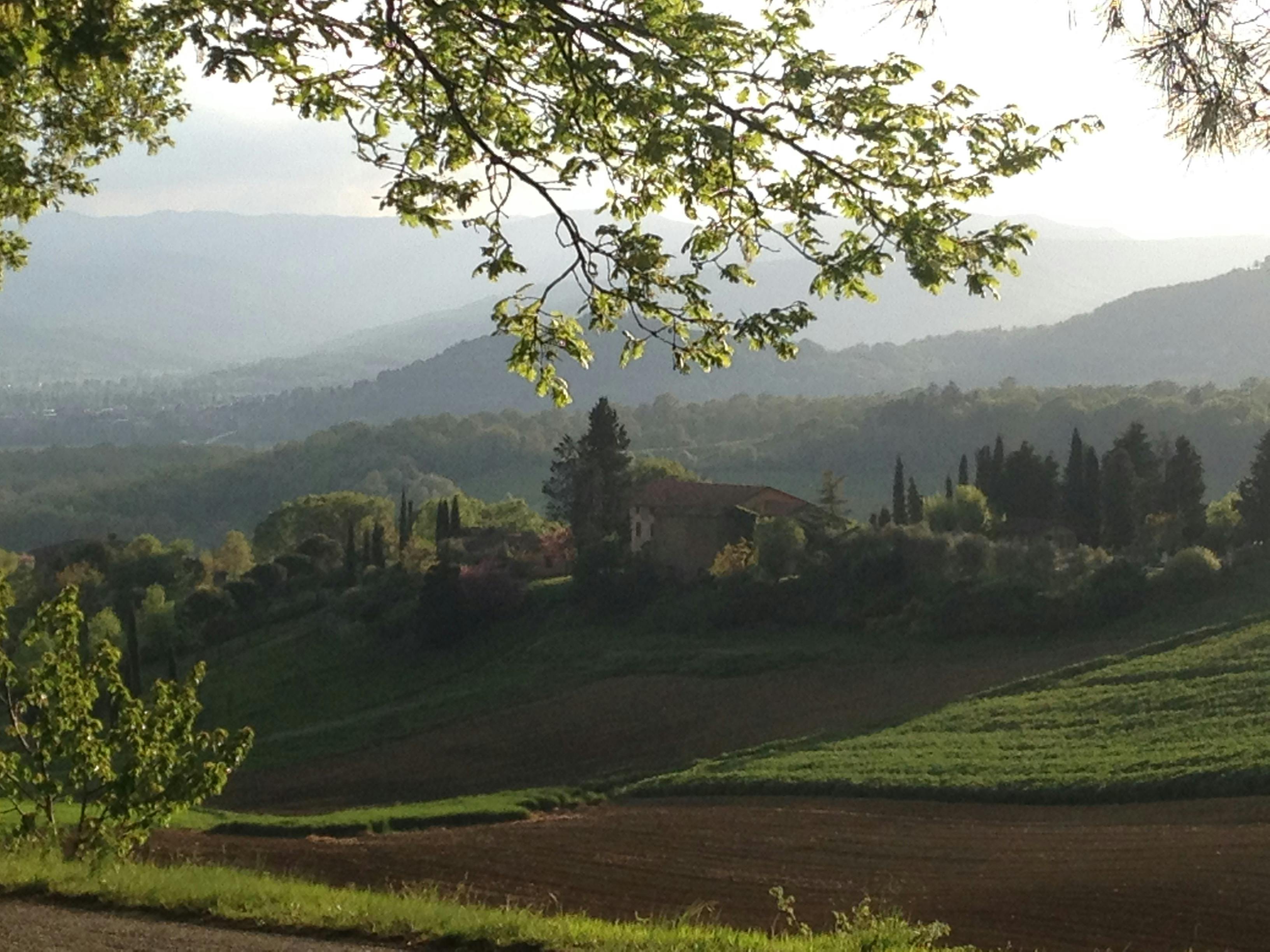 Villa of the Angels in Tuscany, lush greenery ideal for outdoor retreats and events.