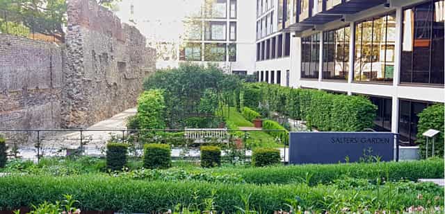 Salters' Garden: lush greenery venue for outdoor receptions and team-building events.