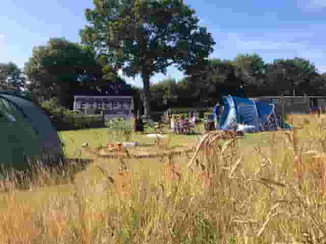 The Fire Pit Camp
