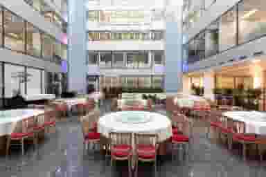 Fitzrovia