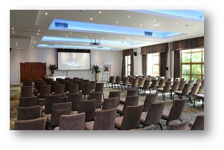 Serengeti Suite meeting space with comfortable chairs for conferences and workshops.