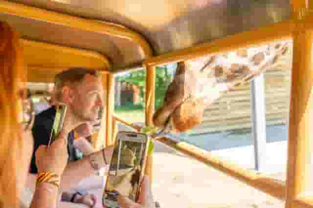 Chessington World of Adventures Resort