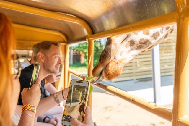 Chessington World of Adventures Resort