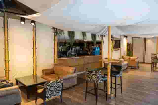 Serengeti Suite