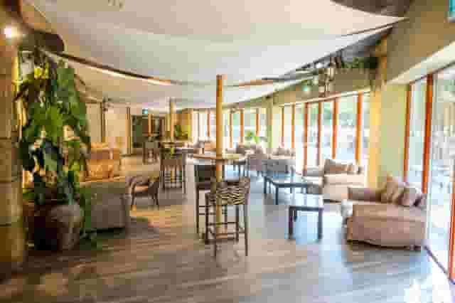 Serengeti Suite
