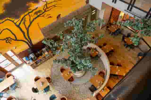 Serengeti Suite