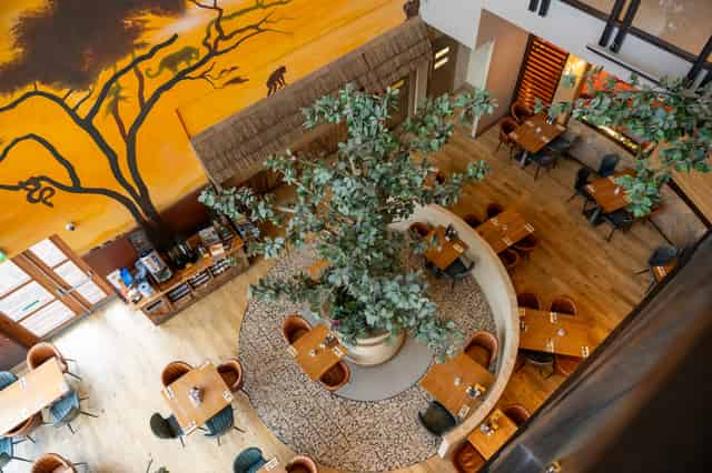Serengeti Suite