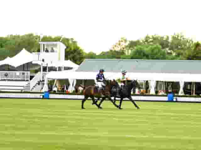 Ham Polo Club