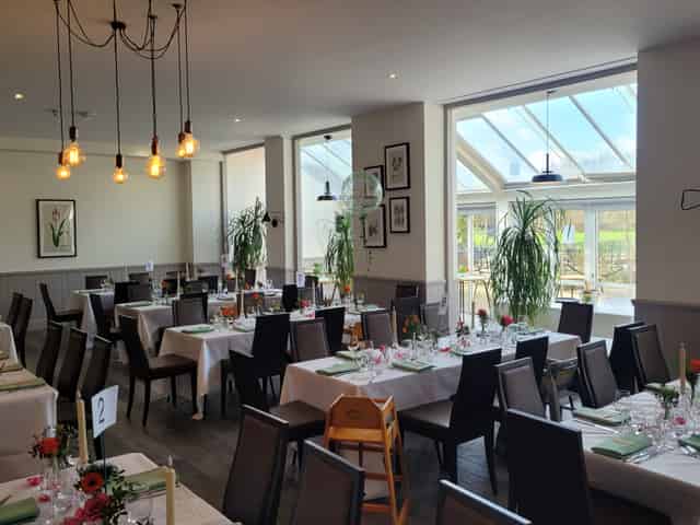 Tulip Tree Room
