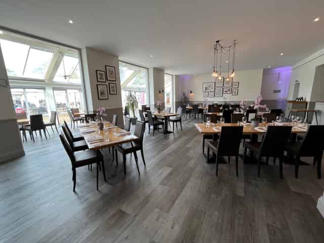 Tulip Tree Room