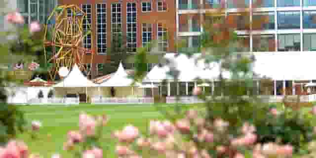 The HAC