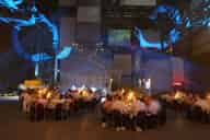 Party Venues