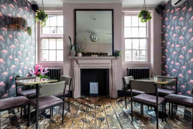 Stylish event space with flamingo wallpaper, perfect for gatherings and networking.