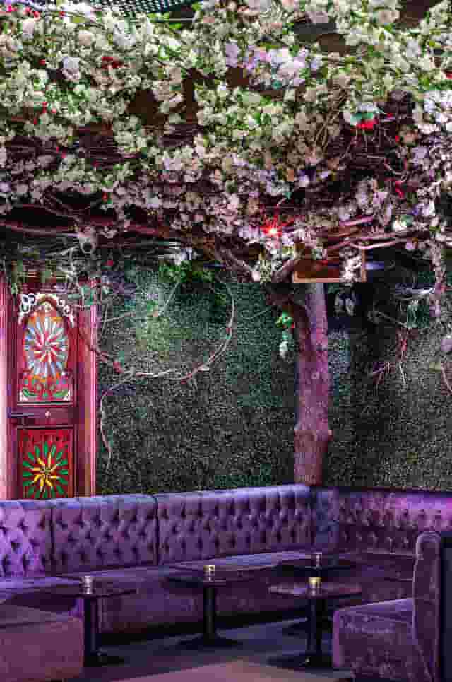 The Cuckoo Club