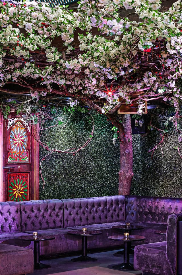 The Cuckoo Club
