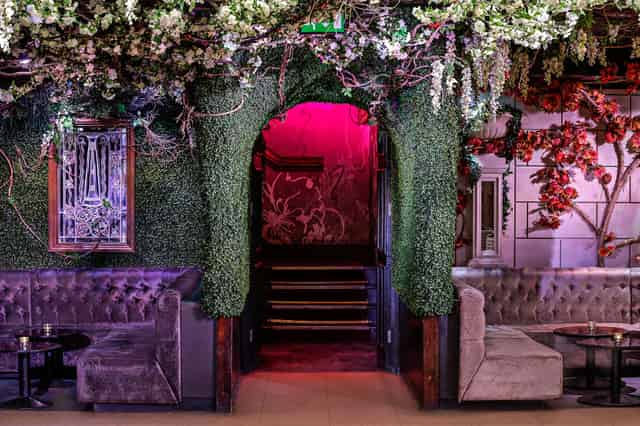 The Cuckoo Club