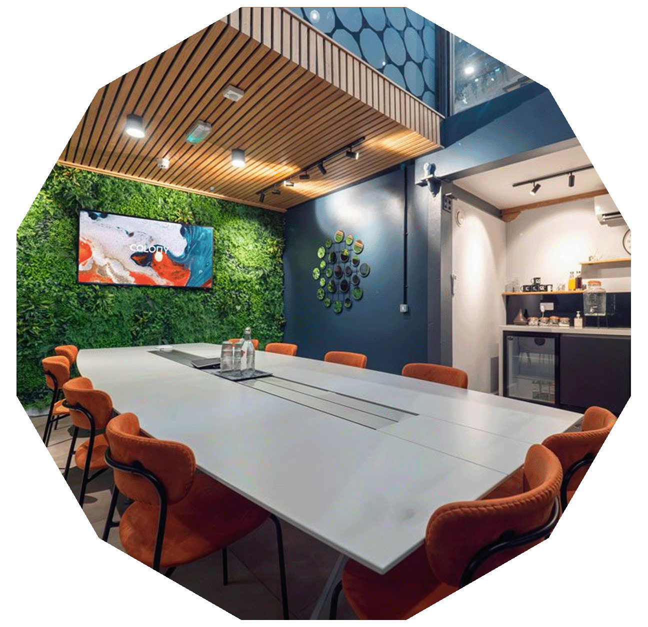 Colony Jactin House | Flexible ...