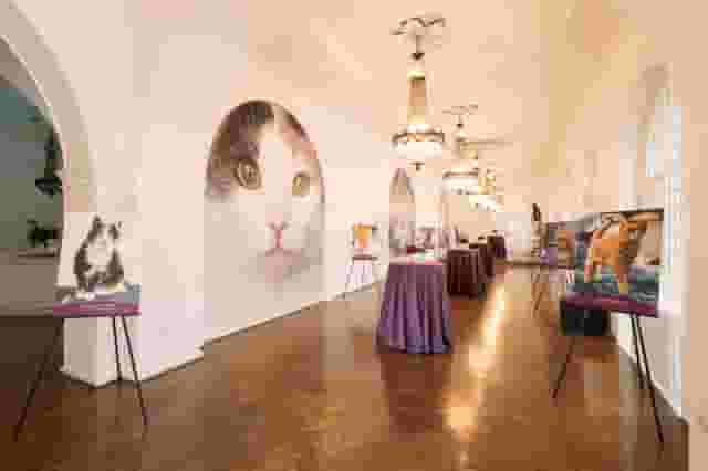 Galleries