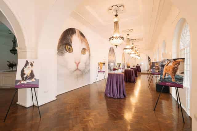 Galleries