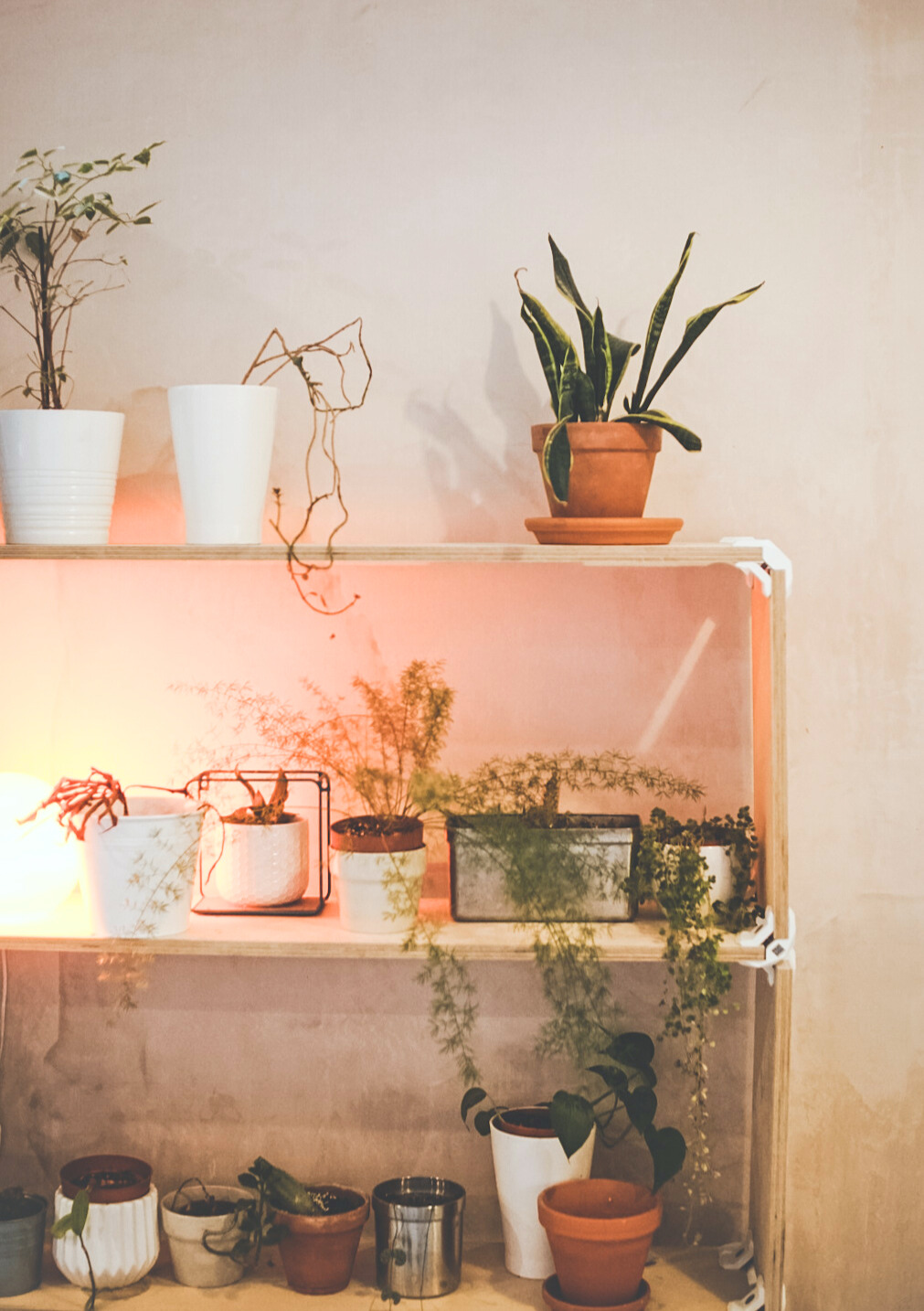 Boardroom in ARK coworking with potted plants, ideal for wellness and creative events. - Banner