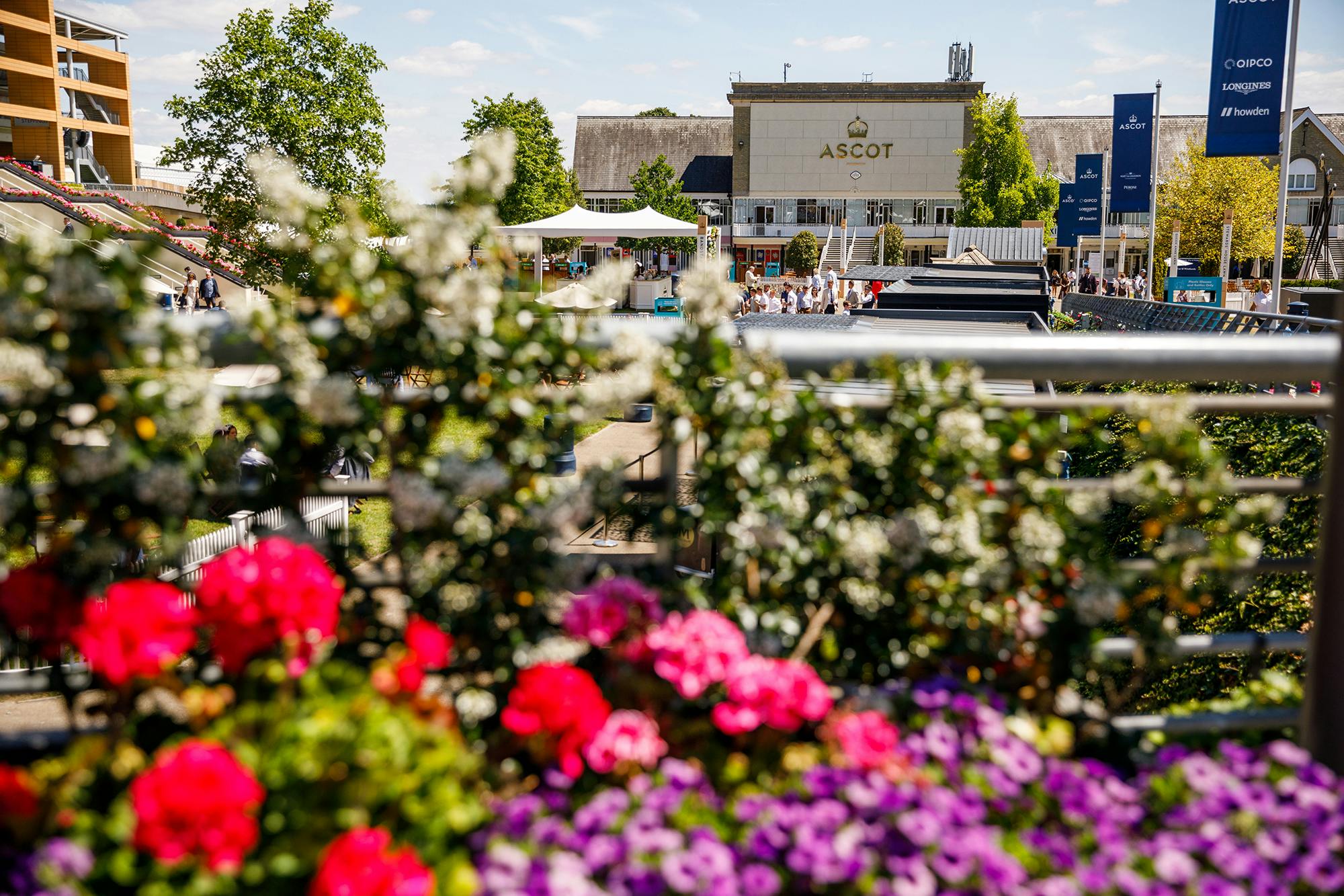 Pavilion Suite at Ascot Racecourse, vibrant outdoor event space for gatherings and meetings.