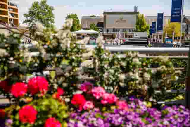 Ascot Racecourse