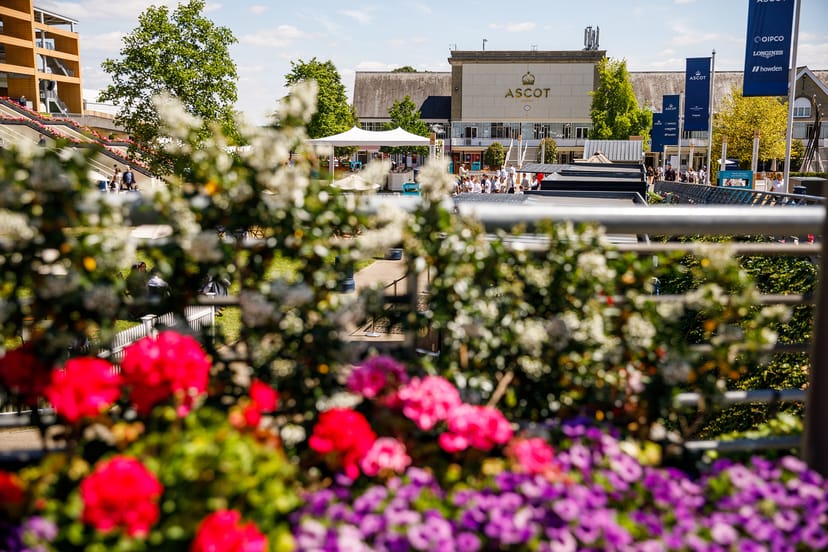 Ascot Racecourse
