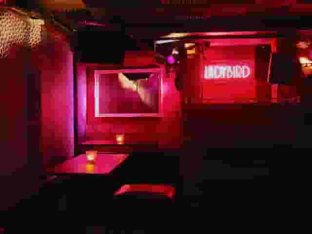 The Ladybird Bar