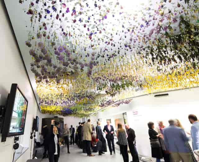 Vibrant event space with floral installation for networking and social gatherings.
