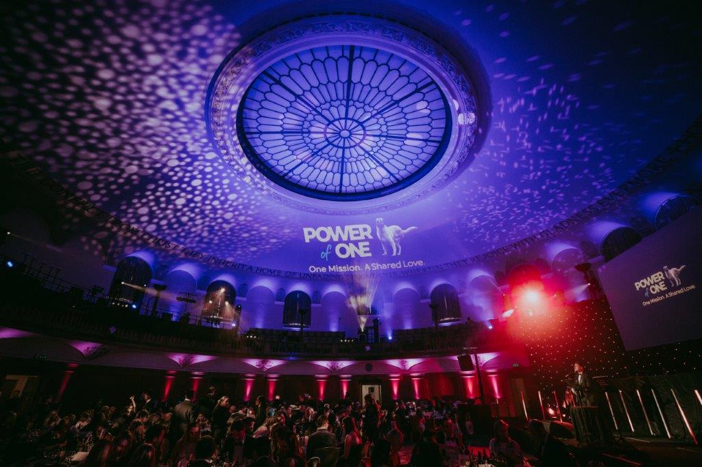 Gala event, Westminster Hall, projection mapping, corporate party - Banner