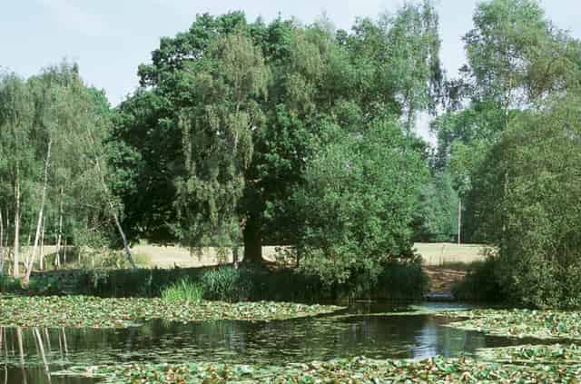 Stoke Place