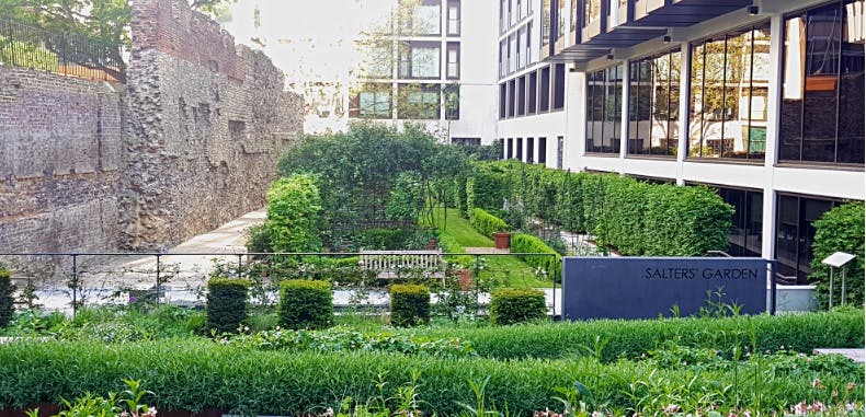 Salters' Hall - Salters' Garden image 1