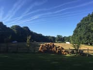 Company Retreats