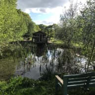 Sustainable Venues
