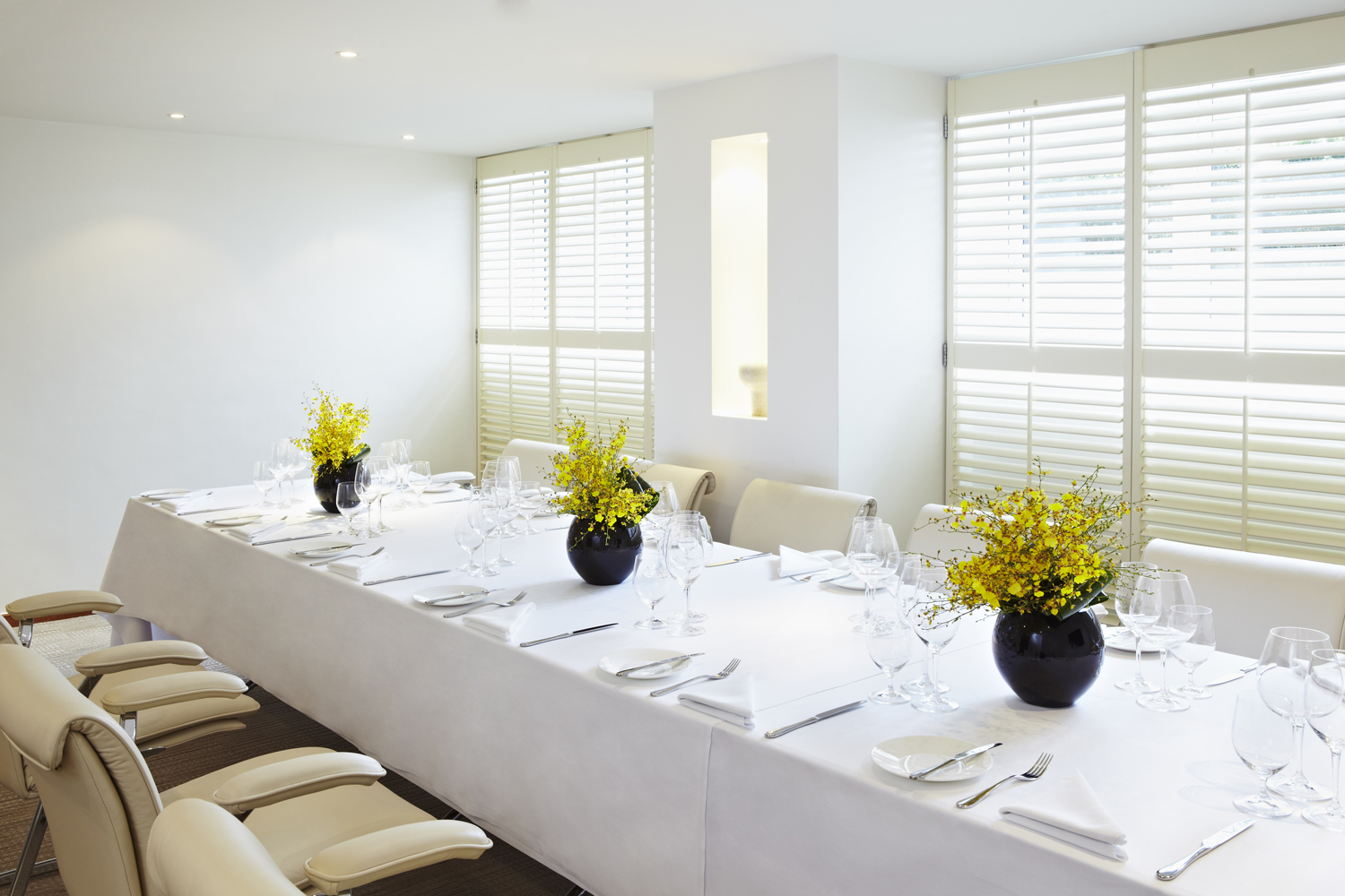 Trending Meeting Rooms - Banner