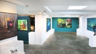 Galleries
