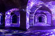 Party Venues