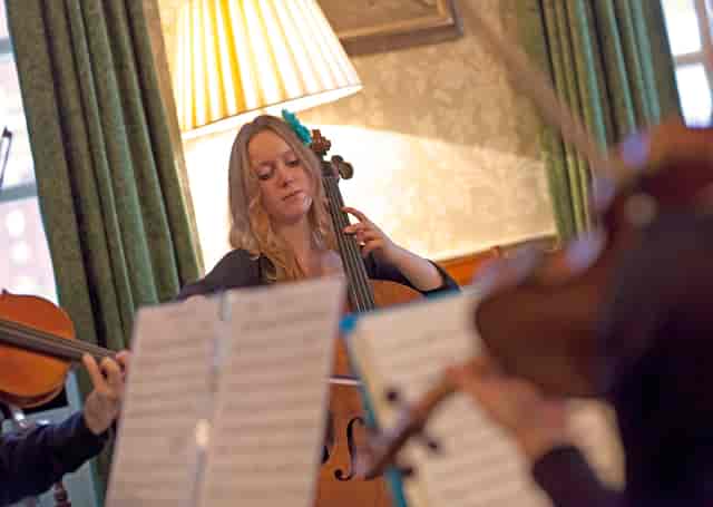 String musician performing in elegant Council Room, perfect for receptions and gatherings.
