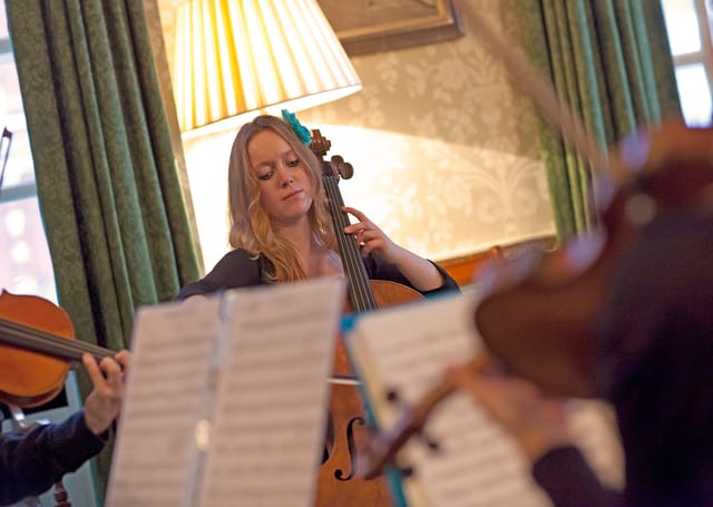 String musician performing in elegant Council Room, perfect for receptions and gatherings.