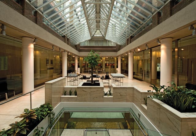 Max Rayne Atrium 