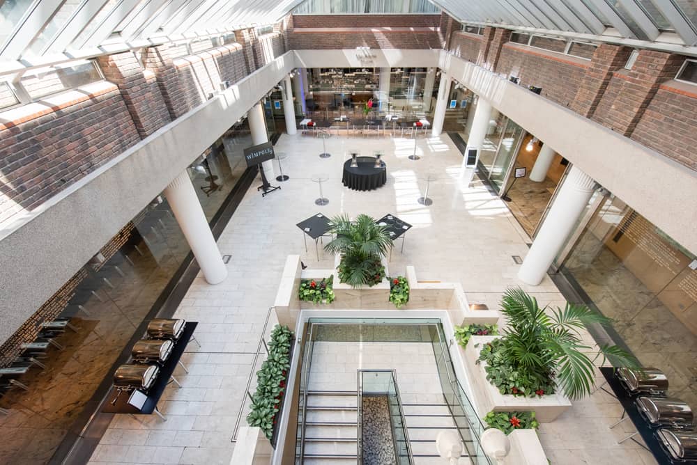 Max Rayne Atrium  | 1 Wimpole Street