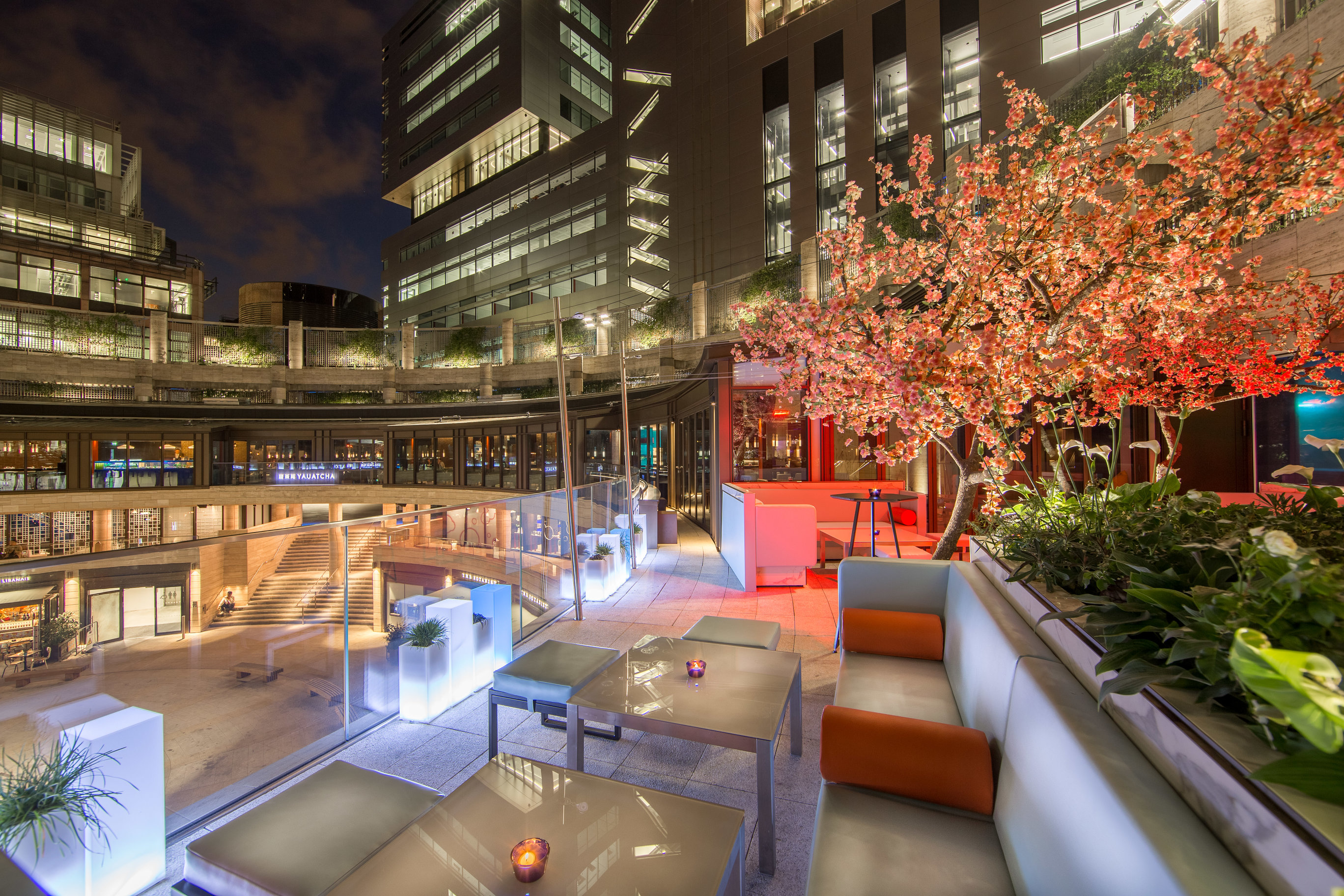 Roof Terrace at Yauatcha City, elegant cherry blossom, ideal for upscale events and receptions. - Banner