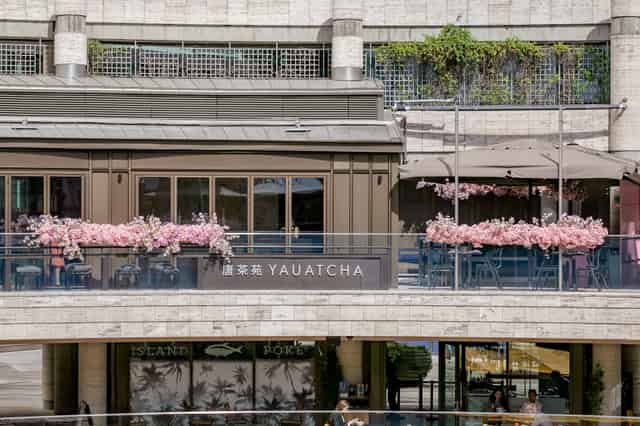 Terrace