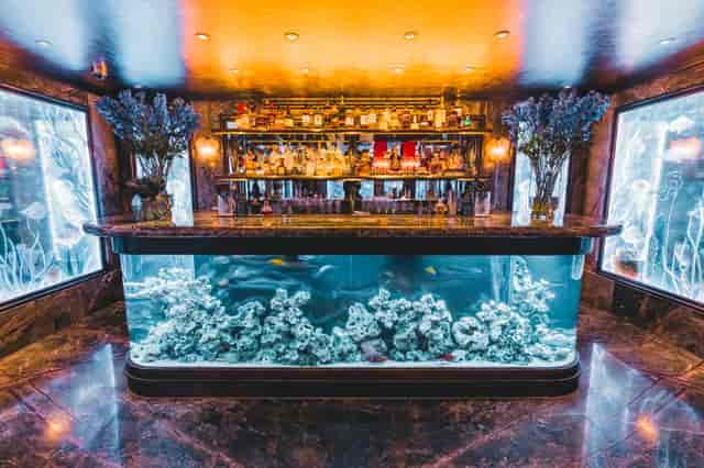 Elegant bar with aquarium backdrop for cocktail receptions and intimate gatherings.