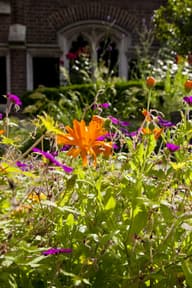Summer Party Venues