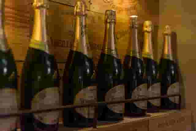 Champagne Snug