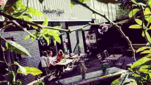 Autumn Yard Events Space